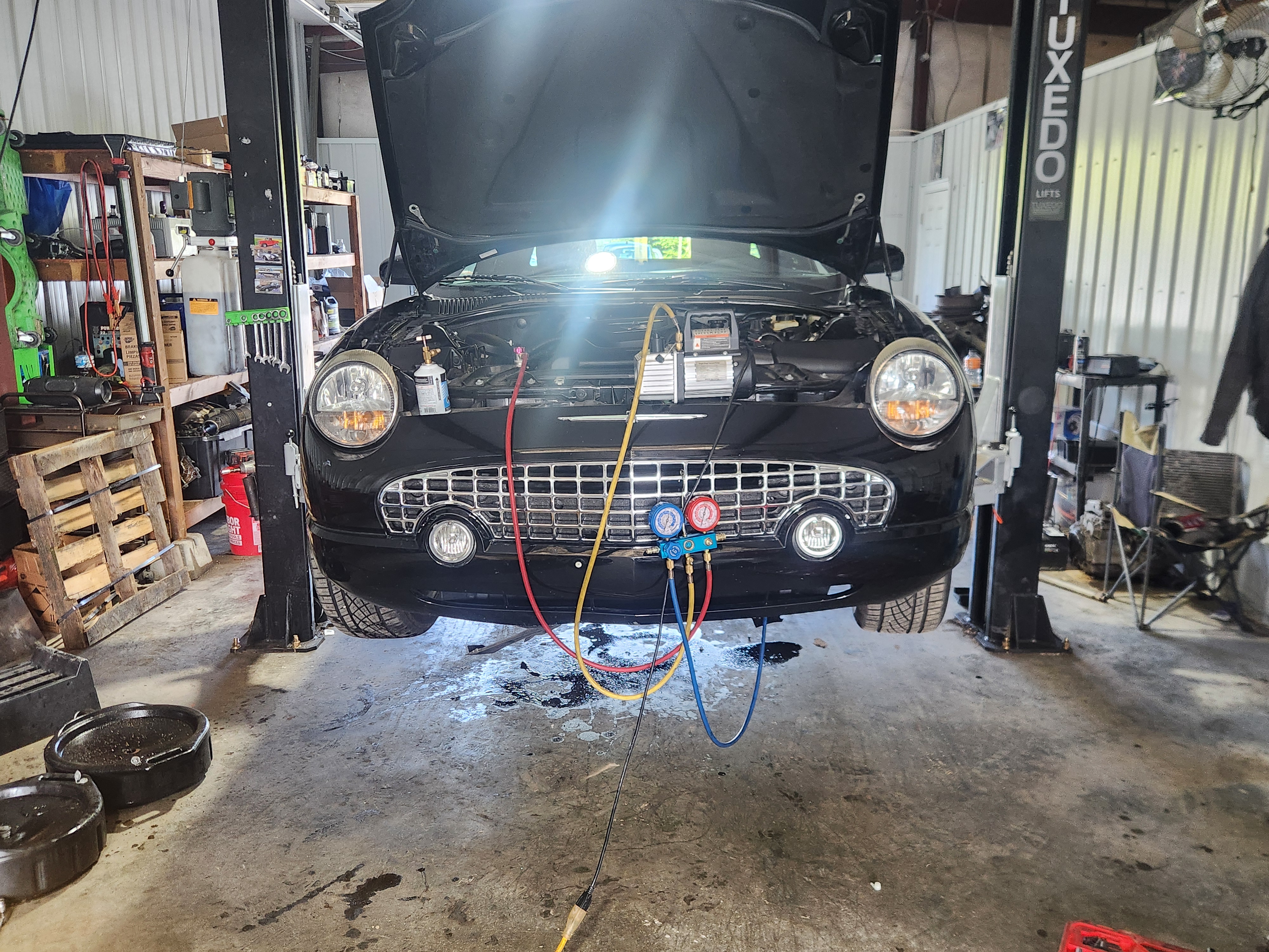 Customer car photo 2